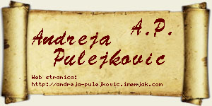 Andreja Pulejković vizit kartica
